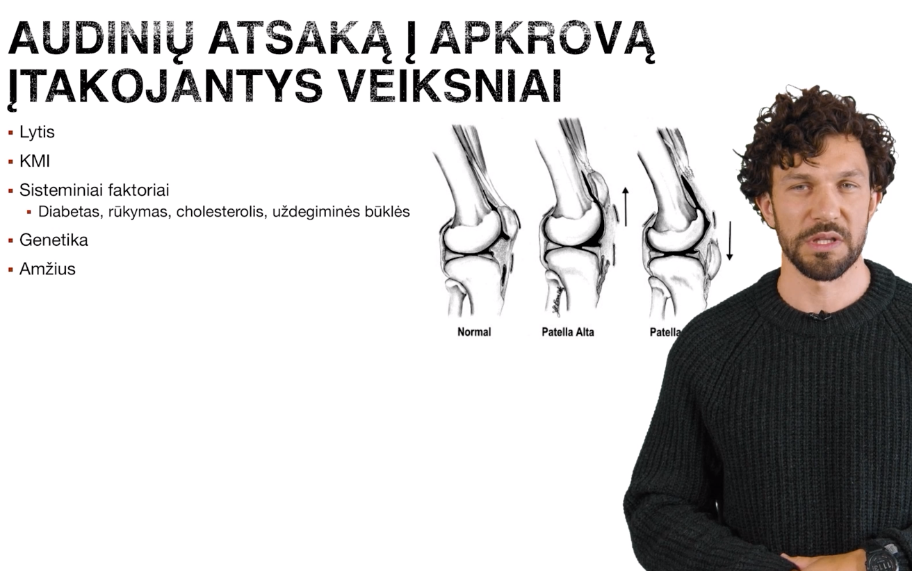 Sausgyslių formavimasis ir atsakas į krūvį